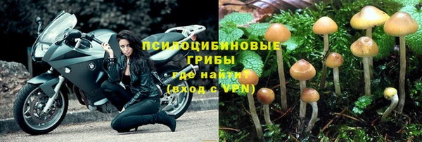 эйфоретик Алексеевка