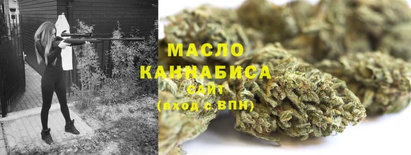 хмурый Няндома