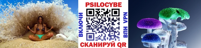 KRAKEN tor  Сим  Галлюциногенные грибы Psilocybe 